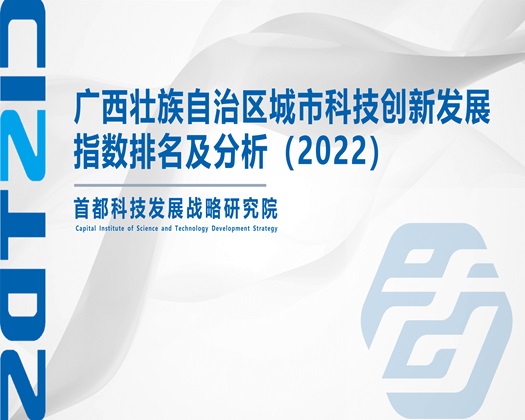 我人用命根子插入女人屁眼的软件【成果发布】广西壮族自治区城市科技创新发展指数排名及分析（2022）